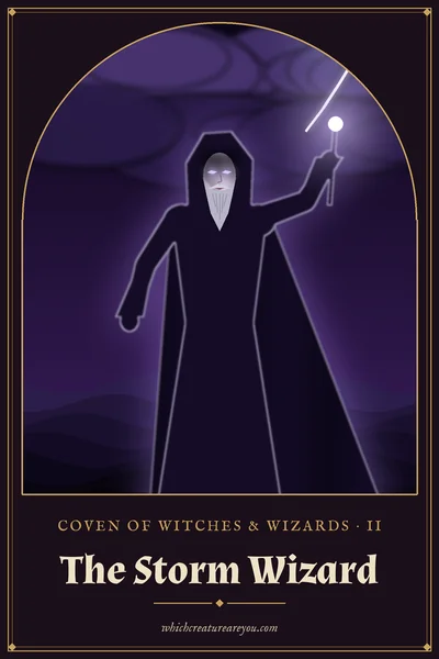The Storm Wizard personality card